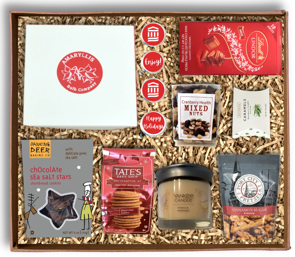 Amaryllis Gift Set