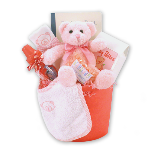 Bear Necessities Baby Girl Gift Basket