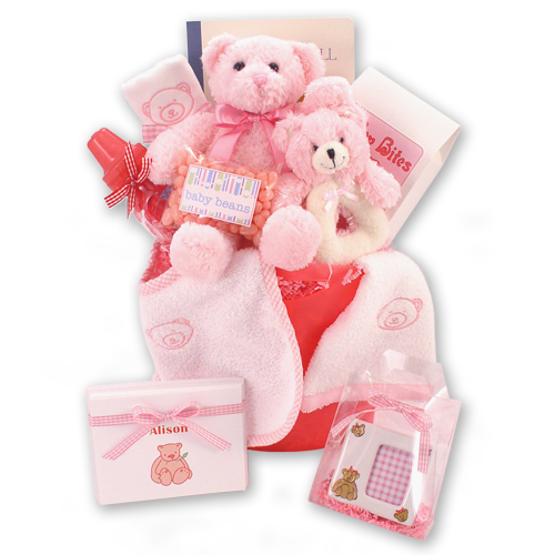 Bear Necessities Baby Girl Gift Basket